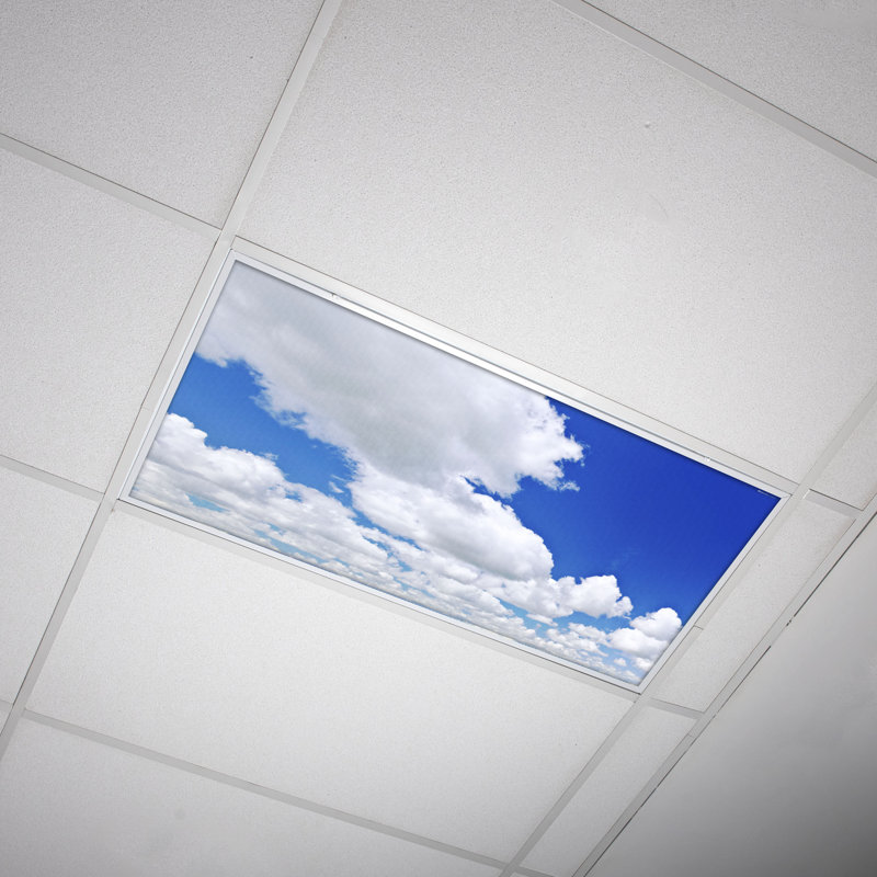 Cloud Classroom Fluorescent Light Covers for Ceiling Lights - For 2x4 Light Fixture - by Octo Lights
