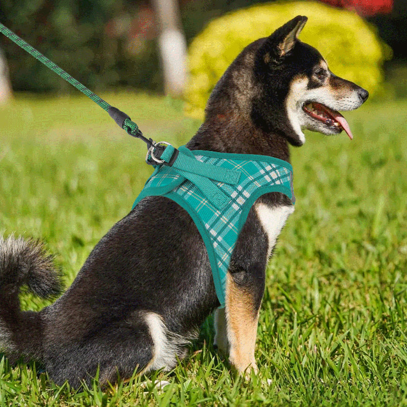 Harnais réglable pour chien avec laisse Gesemyer, Vert gazon