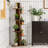 Eliades Bookcase-1173629716
