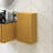 24" Tall Bathroom Wall Mounted Storage Cabinet With Door