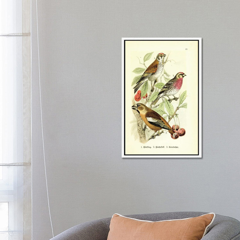 Hawfinch And Friends 1 Piece Floater Frame Wall Art on Canvas, 66.04 cm H x 45.72 cm W