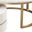 2 tables basses avec rangement-1266465163-1266465166