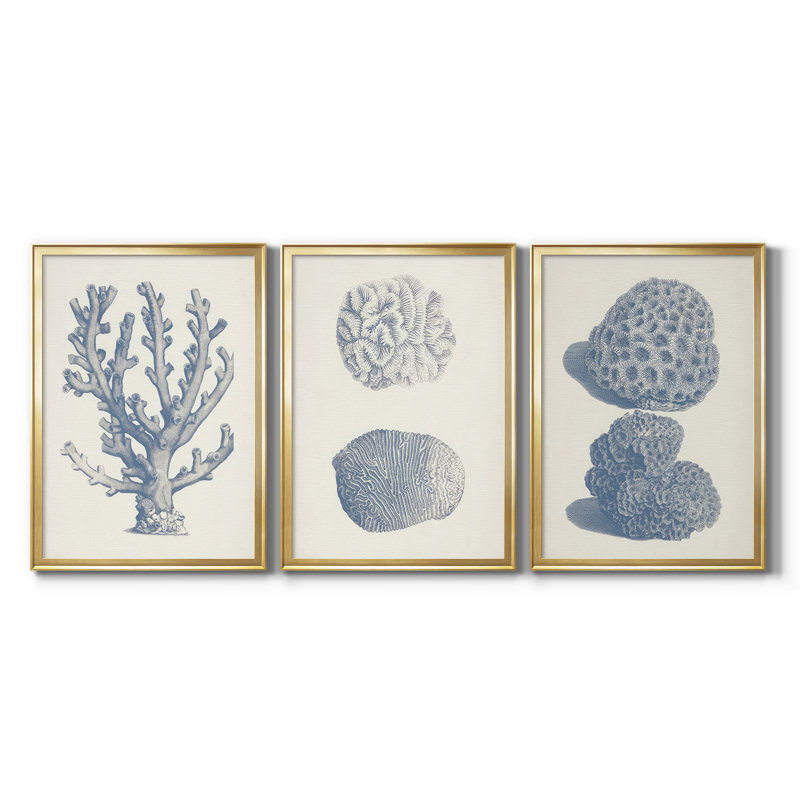 Antique Coral Collection VI - Toile tendue avec châssis sur mesure - 3 pièces, H 19 po x l 27 po, Doré