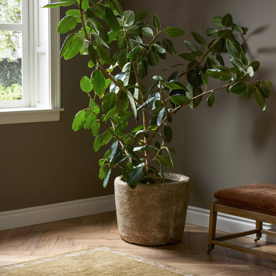 Jardinière Aziel