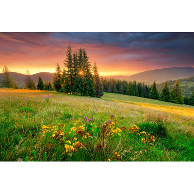 Morning Morning - Photographie sur toile tendue