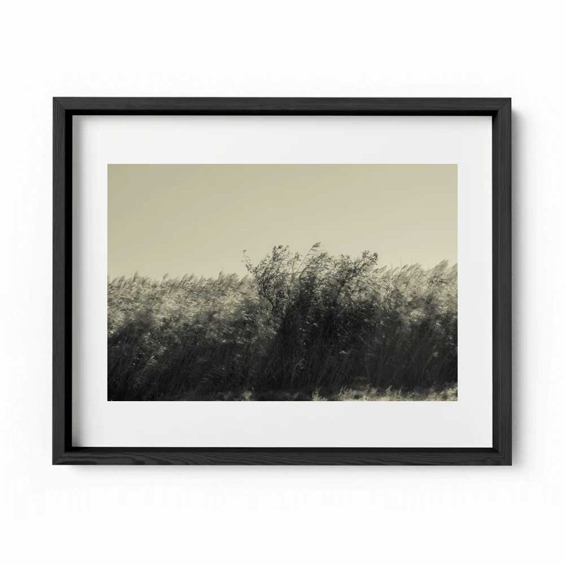 The Summer Wind Print by Joseph Regan, Black, 26" H x 36" W x 0.75" D