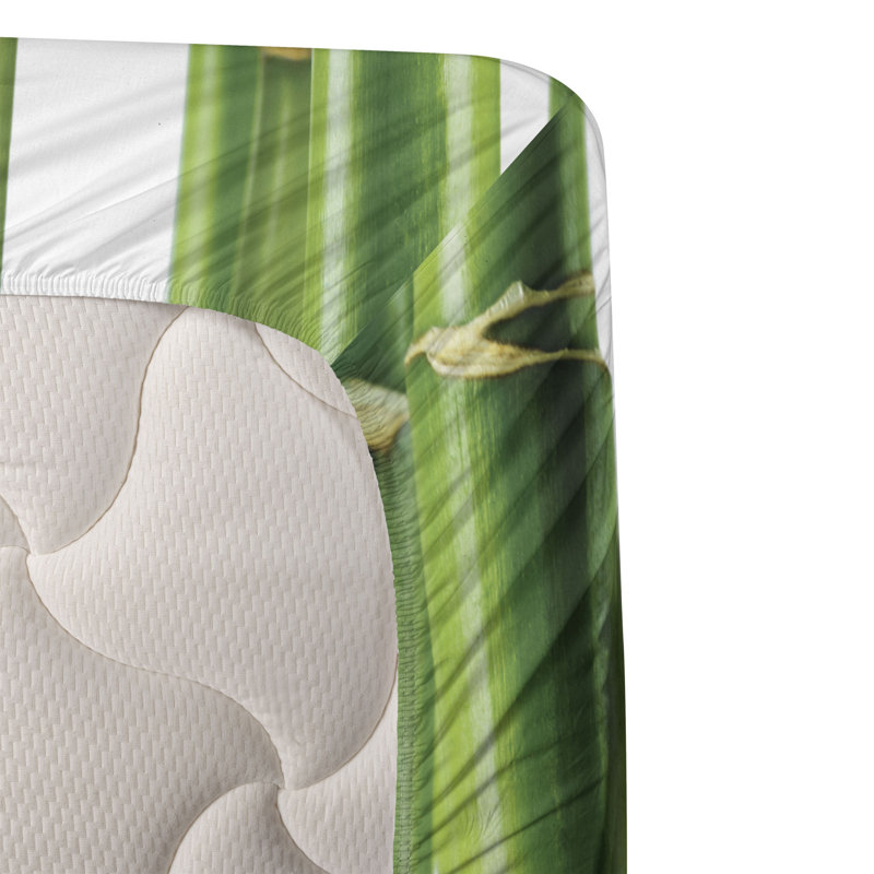 Microfiber Sheet Set, Full
