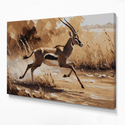 Wildlife Thomsons Gazelle Brown Canvas Wall Art
