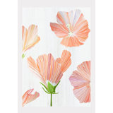 Orange Hibiscus On Snow Print
