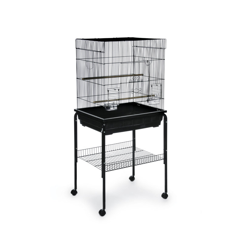 Cage à oiseau avec perchoir 29,5 po Gemma, Noir