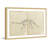 'Dinosaur Study I' Framed Print-18742372