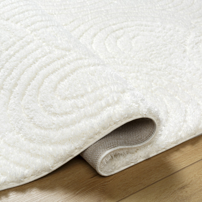 Carollyn Nomadic Machine Woven Polyester Area Rug in White, Rectangle 6'7" x 9'