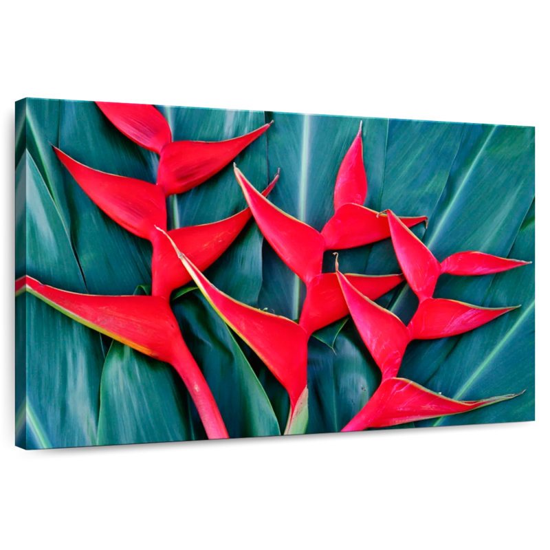 Harnek Bright Red Heliconia, 32" H x 48" W