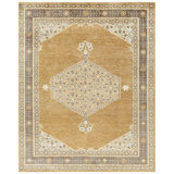 Riviera Oriental Area Rug