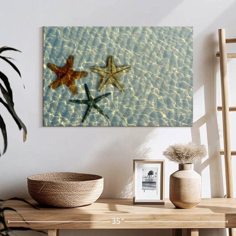 Trio d'étoiles de mer Brampt, H 16 po x l 24 po