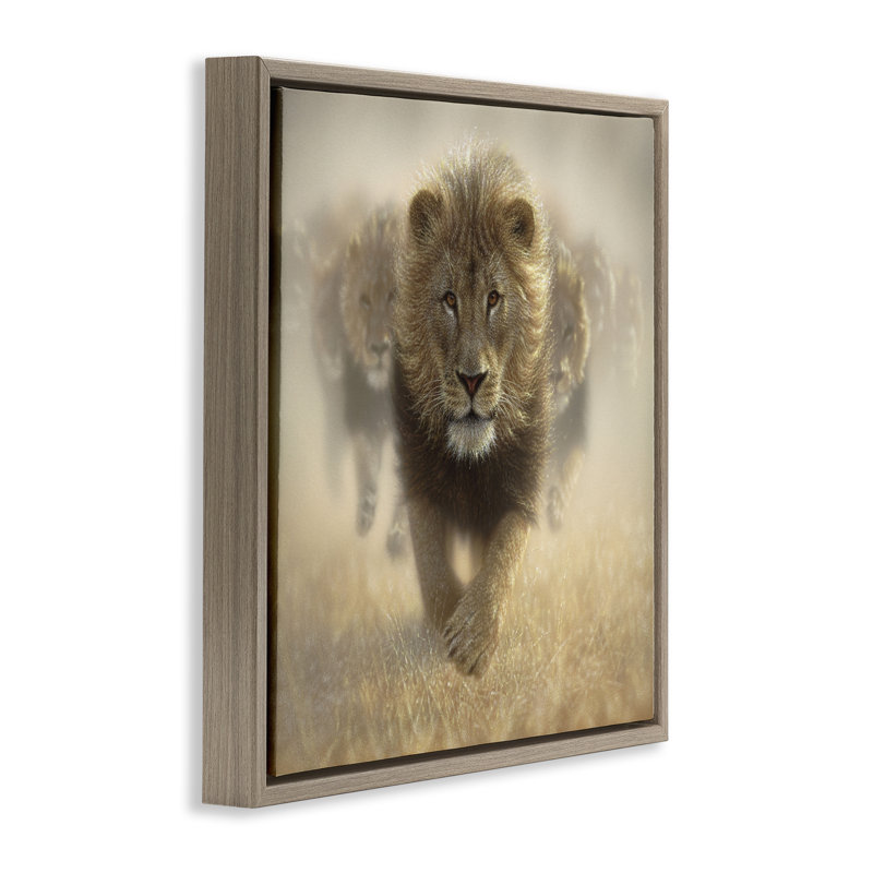 Cadre flottant Eat My Dust Lions, design par Collin Bogle, Cadre flottant orme Montalcino, H 18 po x l 18 po