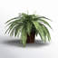 23'' Faux Fern Plant in Wicker/Rattan Pot