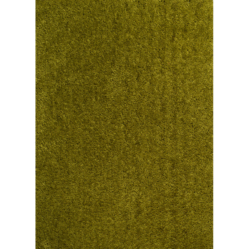 Tapis vert à poils longs Mullenix, Rectangle 2 pi 7 po x 3 pi 11 po