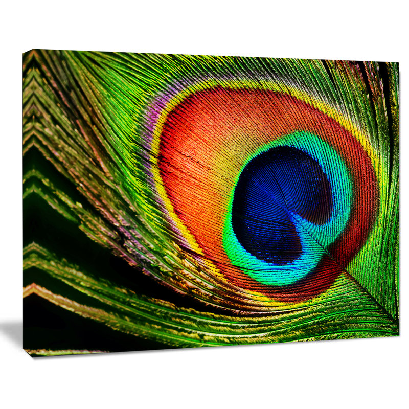 «Peacock Feather», impression, H 30 po x l 40 po x P 1,5 po, Toile tendue