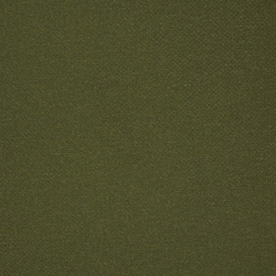 Fabric - Hydrangea Solid Green