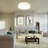 Ledja 20 inch Flush Mount Ceiling Light Dimmable