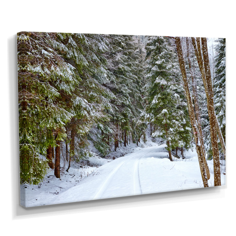 «Winter Forest», reproduction d'art sur toile, route enneigée dans la forêt, H 16 po x l 32 po, Toile tendue