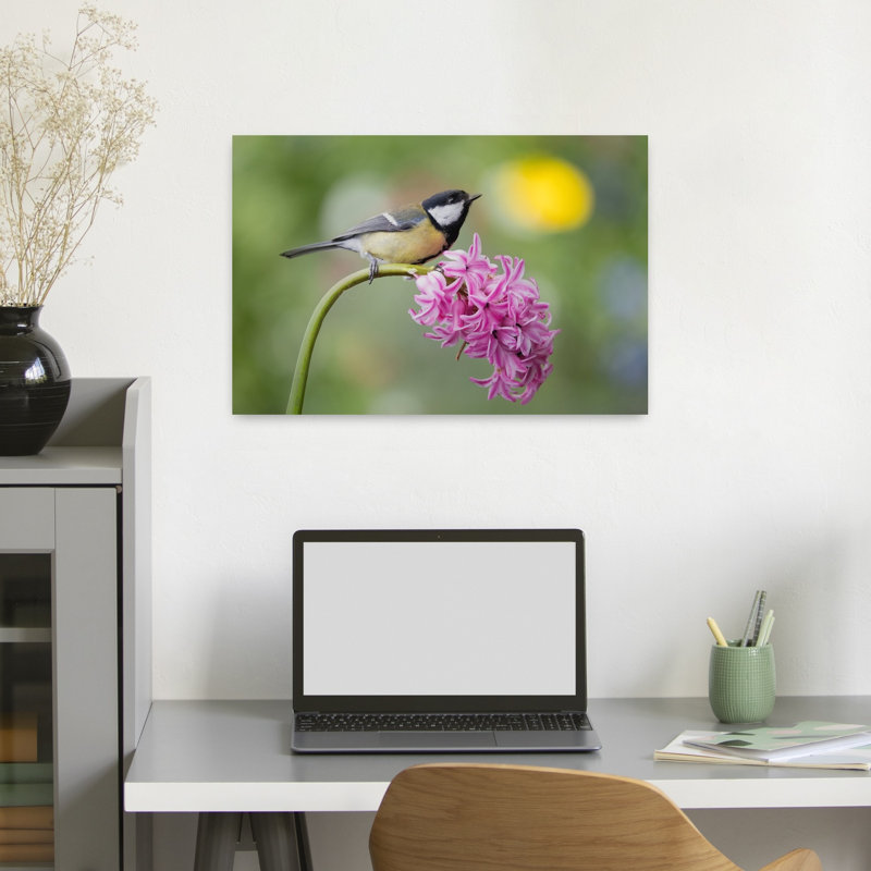 Mésange charbonnière sur jacinthe - Oiseau délicat et vibrant - Illustration murale nature, H 16 po x l 24 po