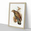 Kea Parrot by Elizabeth Gould - Picture Frame Graphic Art Print-55609792-55609789