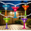 Ensemble de 10 lumières de Noël pour terrasse en verre 10 couleurs