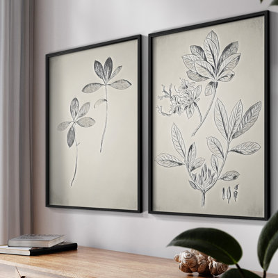 Vintage  Floral XXVII  -Framed Giclee Print - Set of 2