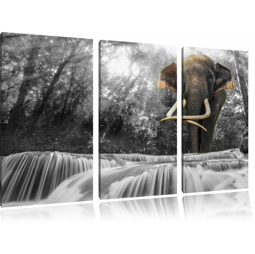 3-tlg. Leinwandbilder-Set „Riesiger Elefant am Bach", Fotodruck