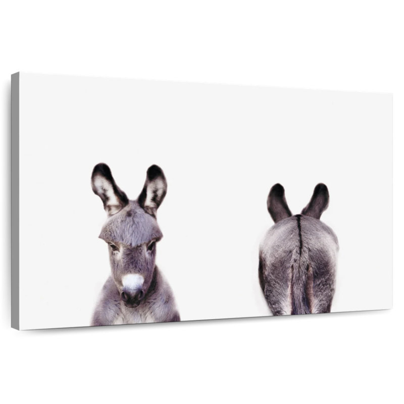 Brampt Donkey Front And Back Portrait, 8" H x 12" W
