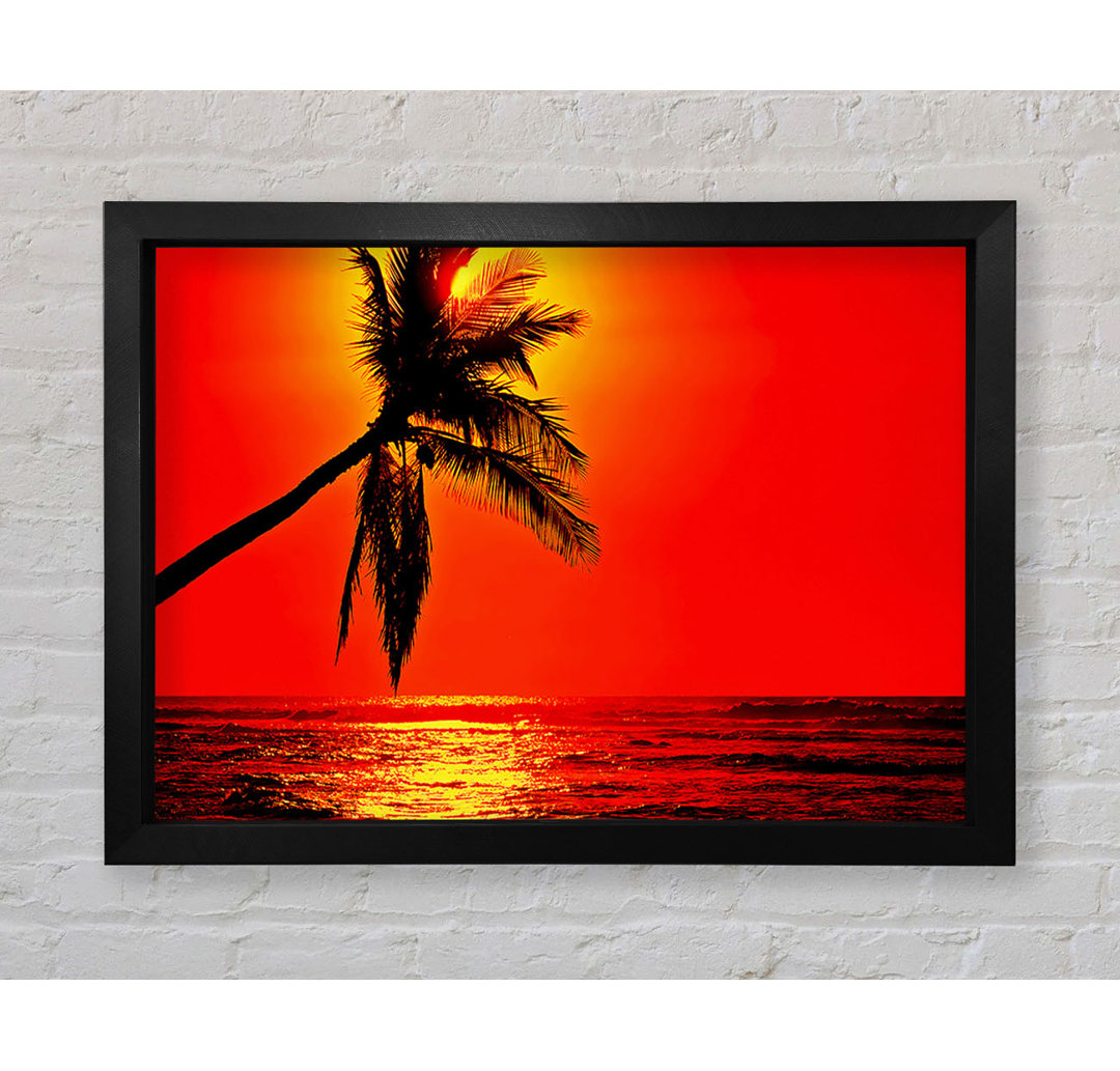 Palmtree Sunblaze Gerahmter Druck Wandkunst