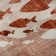 Premium Machine Washable Cerrito Terracotta Rug