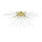 Flush Mount-2004843738
