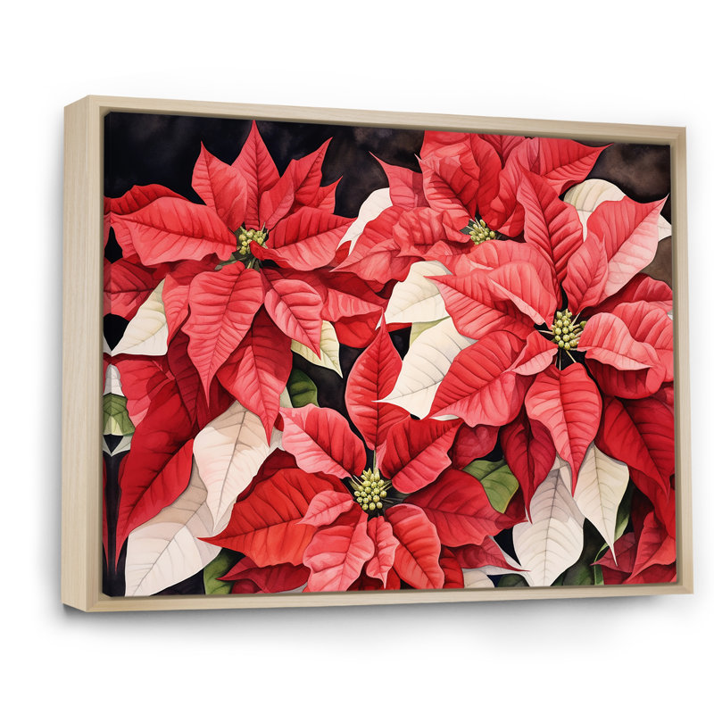 Poinsettias, minimalisme, rêve, Cadre naturel flottant, 34" H x 44" W