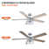 Rish 52'' Ceiling Fan with Light Kit