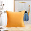 (Couvertures avec insertions) Ensemble de deux coussins décoratifs de 18 po ou 20 po-67973619-67973628-23327424