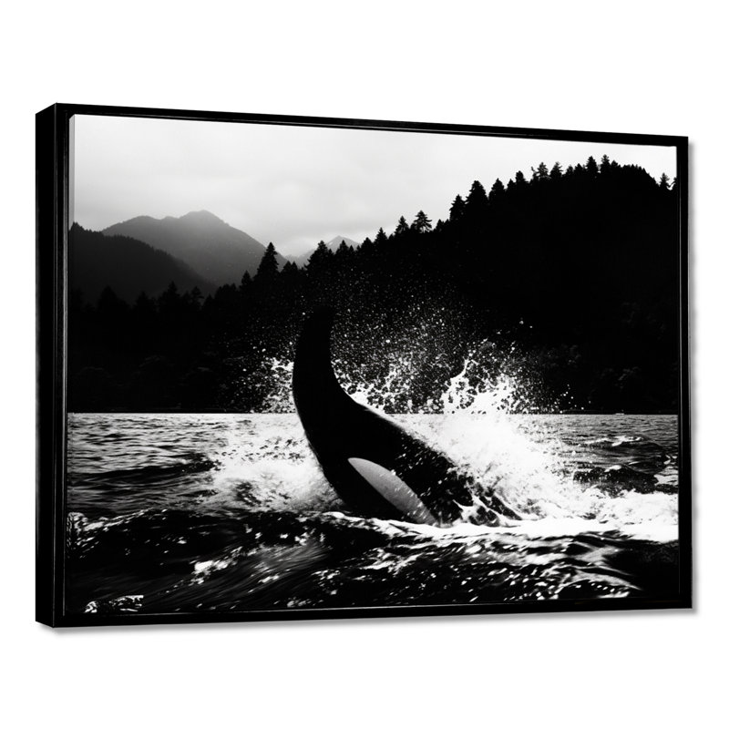 Orque éclaboussant dans l'eau, monochrome, décor d'art mural bord de mer, H 12 po x l 20 po, Toile flottante noire encadrée