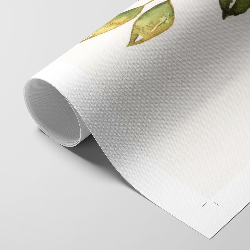 Simple brindille II - impression sur toile seulement - NON CADRE, H 12 po x l 8 po