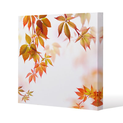 No Title by Andrew Lee - Wrapped Canvas Print
