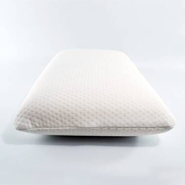 Alwyn Home Knotweed Fiber Plush Pillow & Reviews