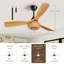 52'' Abs Ceiling Fan Light With Rattan Shade And Remote Control Included 