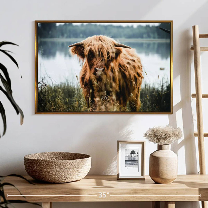 Vache Lakeside Highland, Cadre flottant doré, 25 po x 17 po