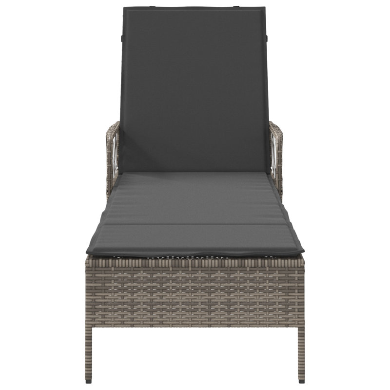 vidaXL Sun Lounger Grey and Dark Grey 21.65 x 78.74 x 36.22 in, Gray