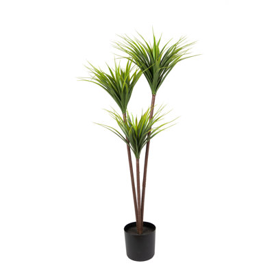 Artificiel Dracaena 55 po
