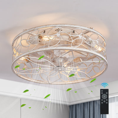18.1'' Vintage Caged Ceiling Fans With Lights With Remote Control, Flush Mount
