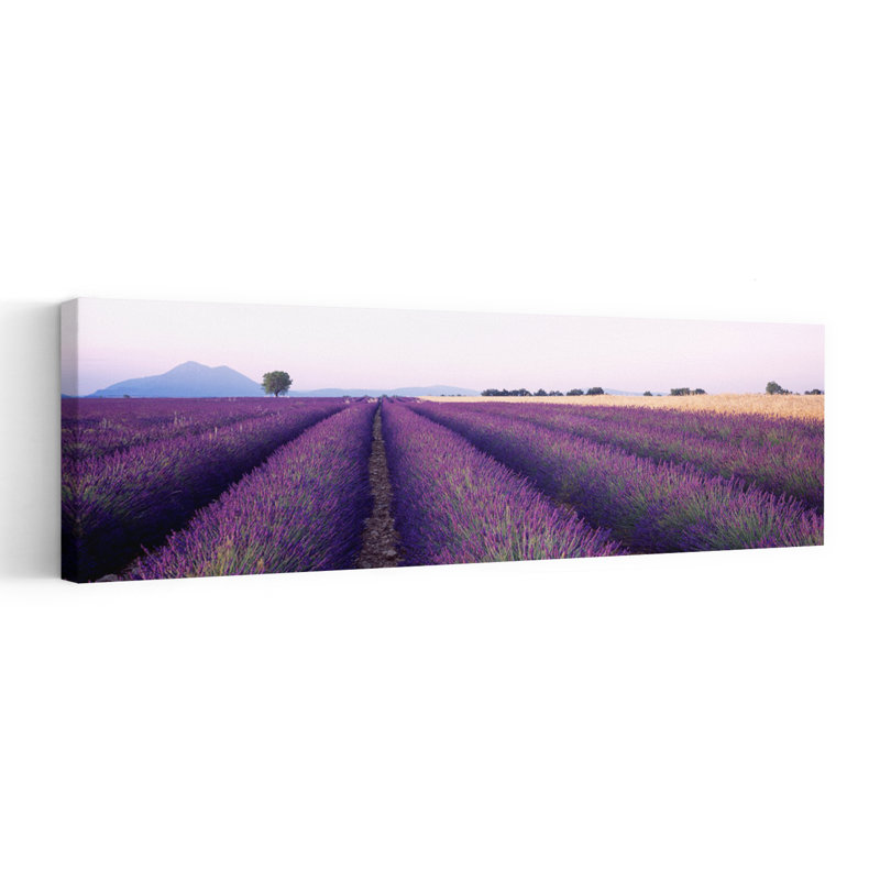 Lavender Field Plateau De Valensole France by Craig D. Wood - Wrapped Canvas Panoramic Print, 50.8 cm H x 152.4 cm W
