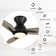 Elegis 44'' Ceiling Fan with LED Lights