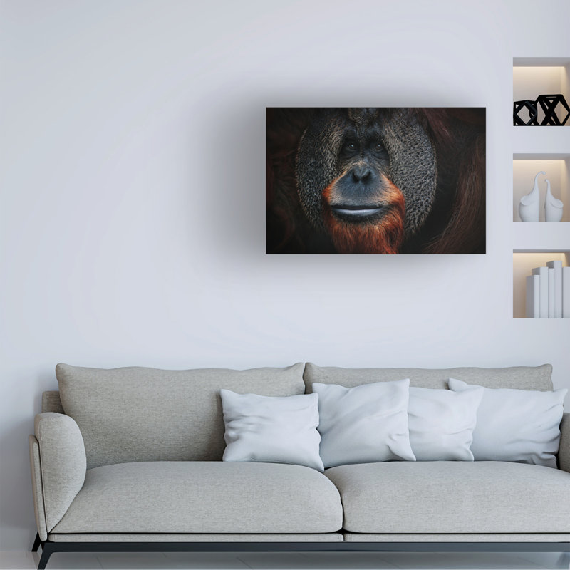 Art sur toile Antje Wenner Braun, H 16 po x l 24 po